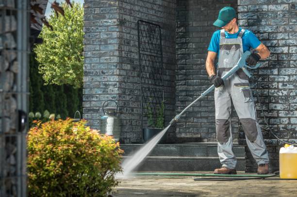 Best Fence Cleaning and Maintenance in Bloomington, TX