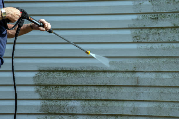 Best Window and Screen Pressure Cleaning in Bloomington, TX