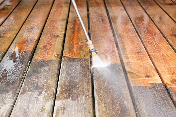 Best Soft Washing for Delicate Surfaces in Bloomington, TX